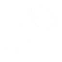 إنتاج اللحوم يوميا