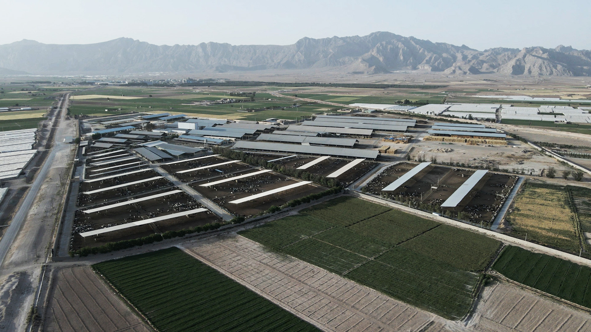 شرکت کشت و دام فضیل